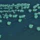Image for article titled A Drug-Resistant Form of Dysentery Is Appearing in the U.S.